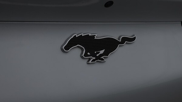 Used Ford Mustang Mach-E 2022 for sale - 76200309: Photo 22