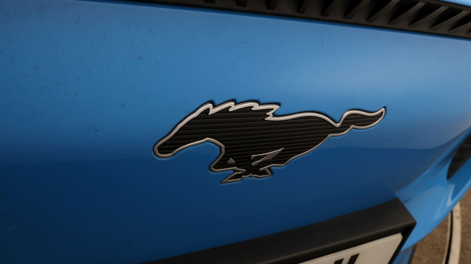 Used Ford Mustang Mach-E 2024 for sale - 77631146: Photo 23