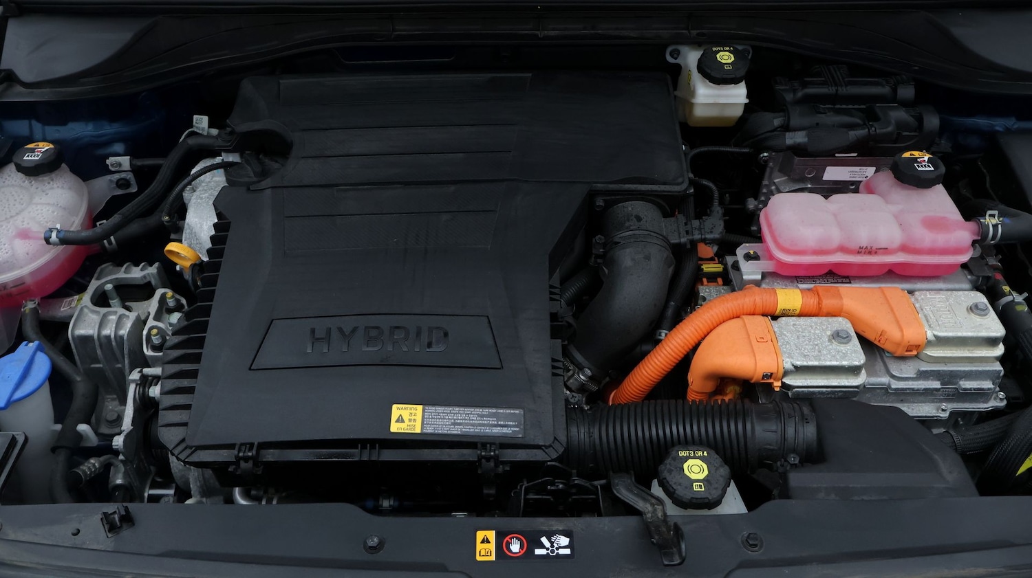 Used Kia Niro 2022 for sale - 77616500: Photo 19