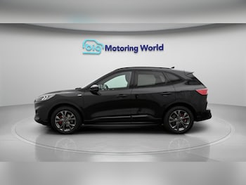 Used Ford Kuga 2020 for sale - 79252748: Photo