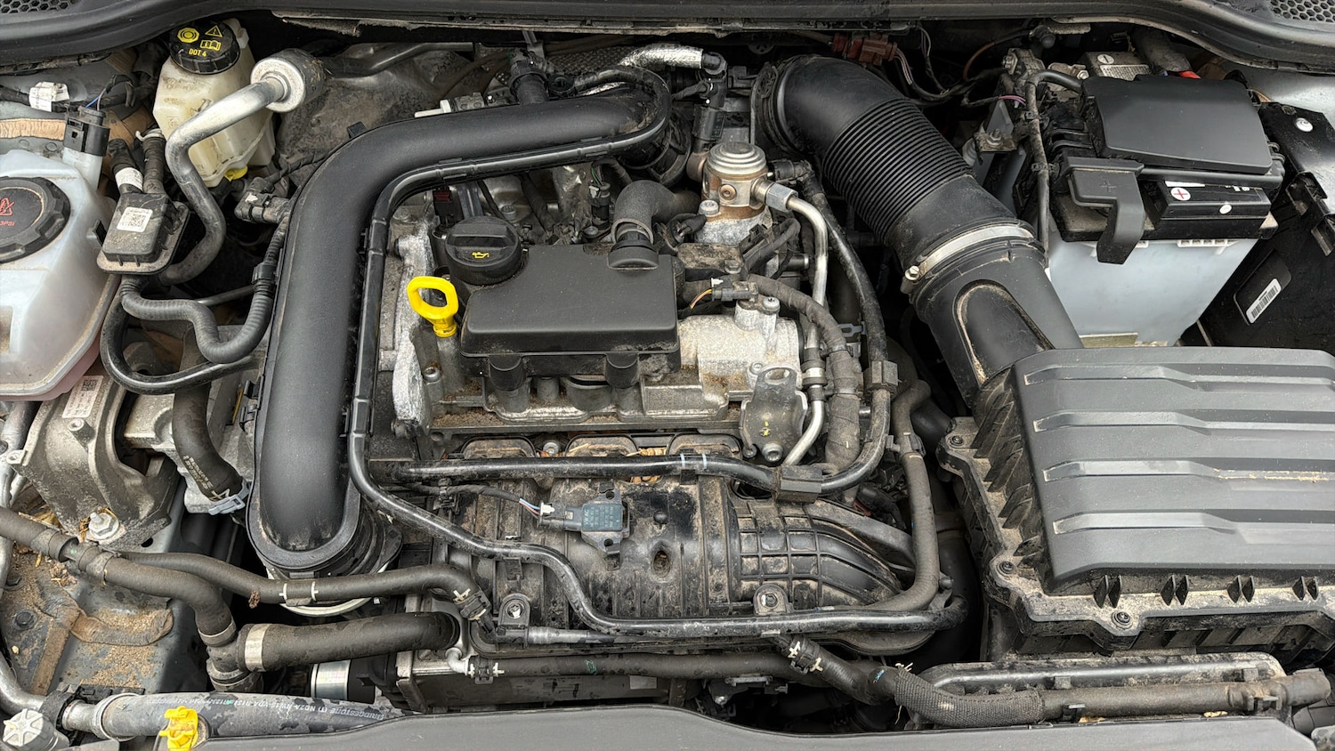 Used SEAT Ibiza 2023 for sale - 78122002: Photo 18