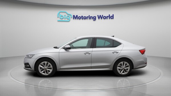 Used Skoda Octavia 2023 for sale - 76327016: Photo 5