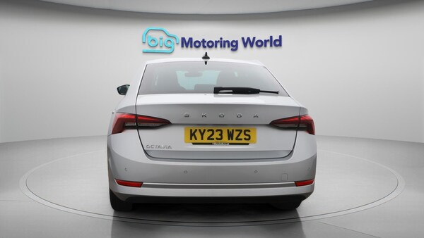 Used Skoda Octavia 2023 for sale - 76327016: Photo 7