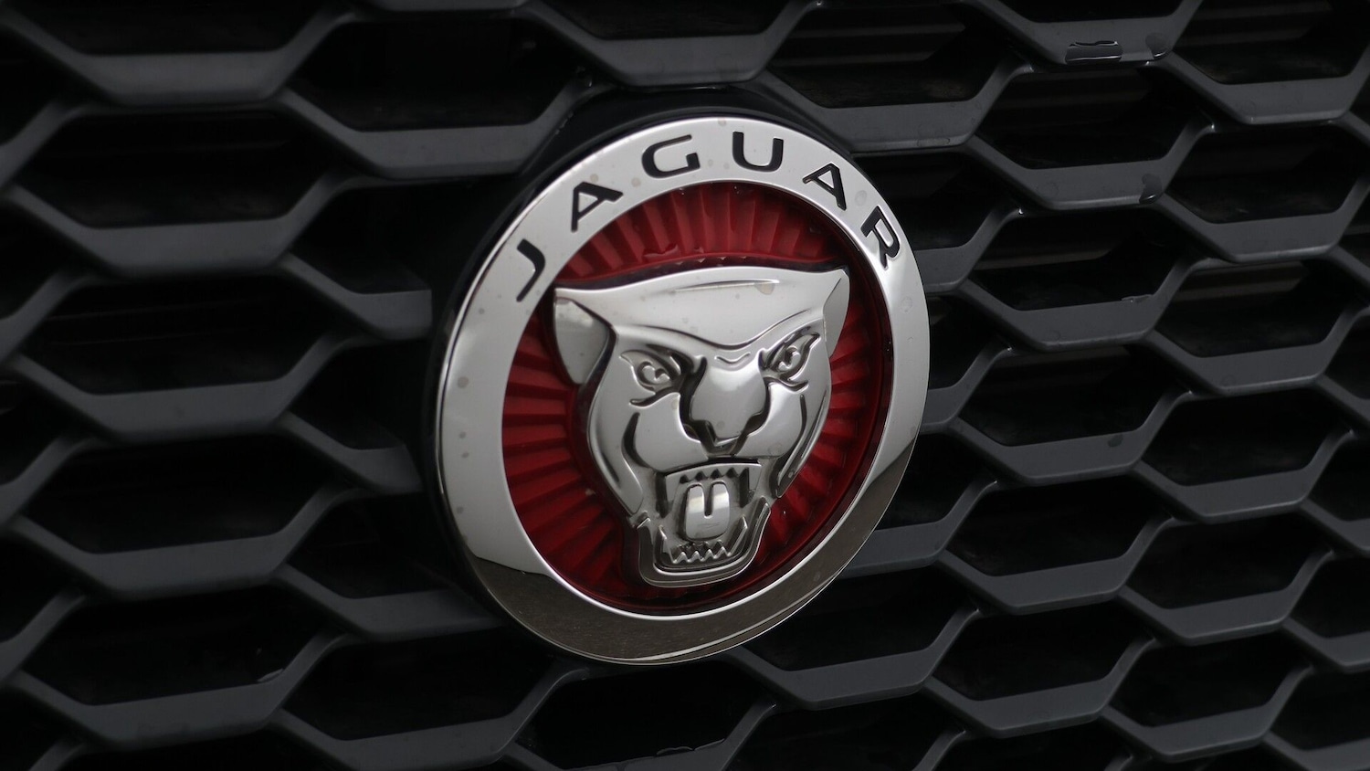 Used Jaguar E-Pace 2019 for sale - 77570499: Photo 21