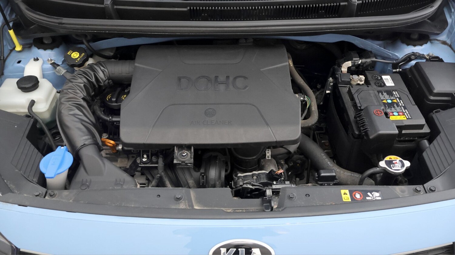 Used Kia Picanto for sale - 77761668: Photo 18