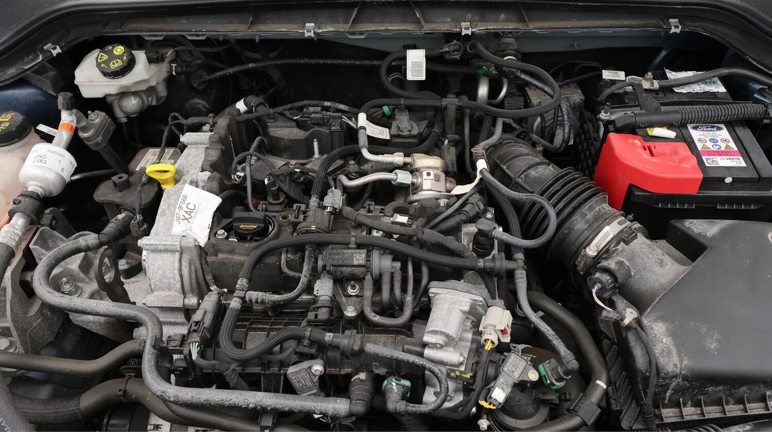 Used Ford Focus 2022 for sale - 76306368: Photo 20