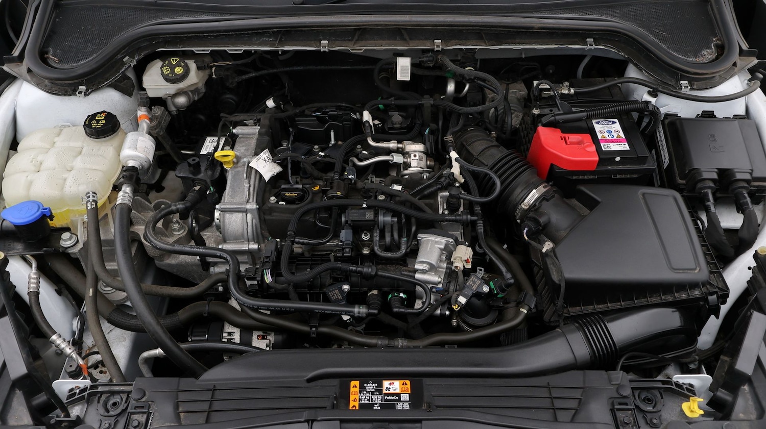 Used Ford Focus 2023 for sale - 77813527: Photo 19