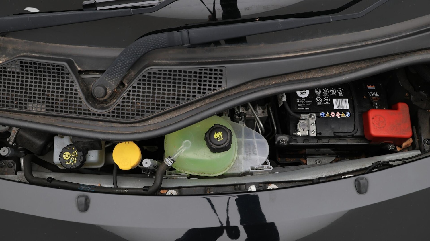 Used smart forfour 2021 for sale - 76456978: Photo 20