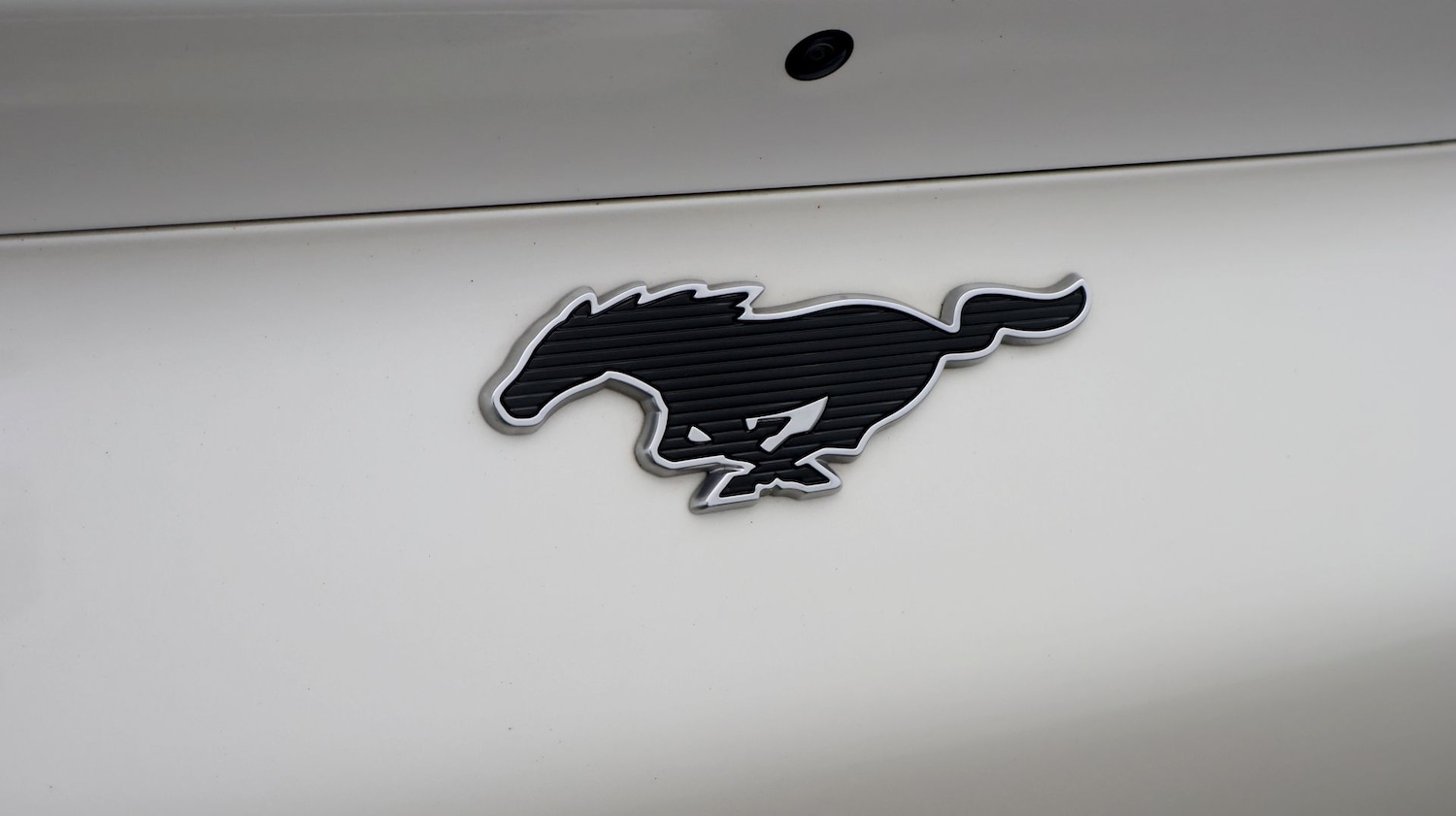 Used Ford Mustang Mach-E 2022 for sale - 77654424: Photo 23