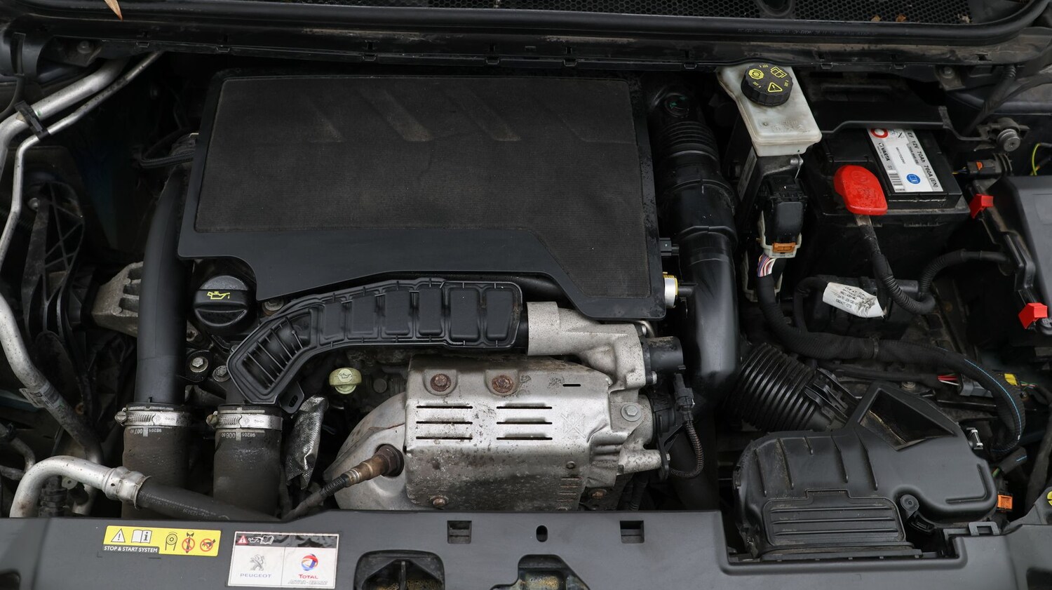 Used Peugeot 308 2018 for sale - 77208634: Photo 19