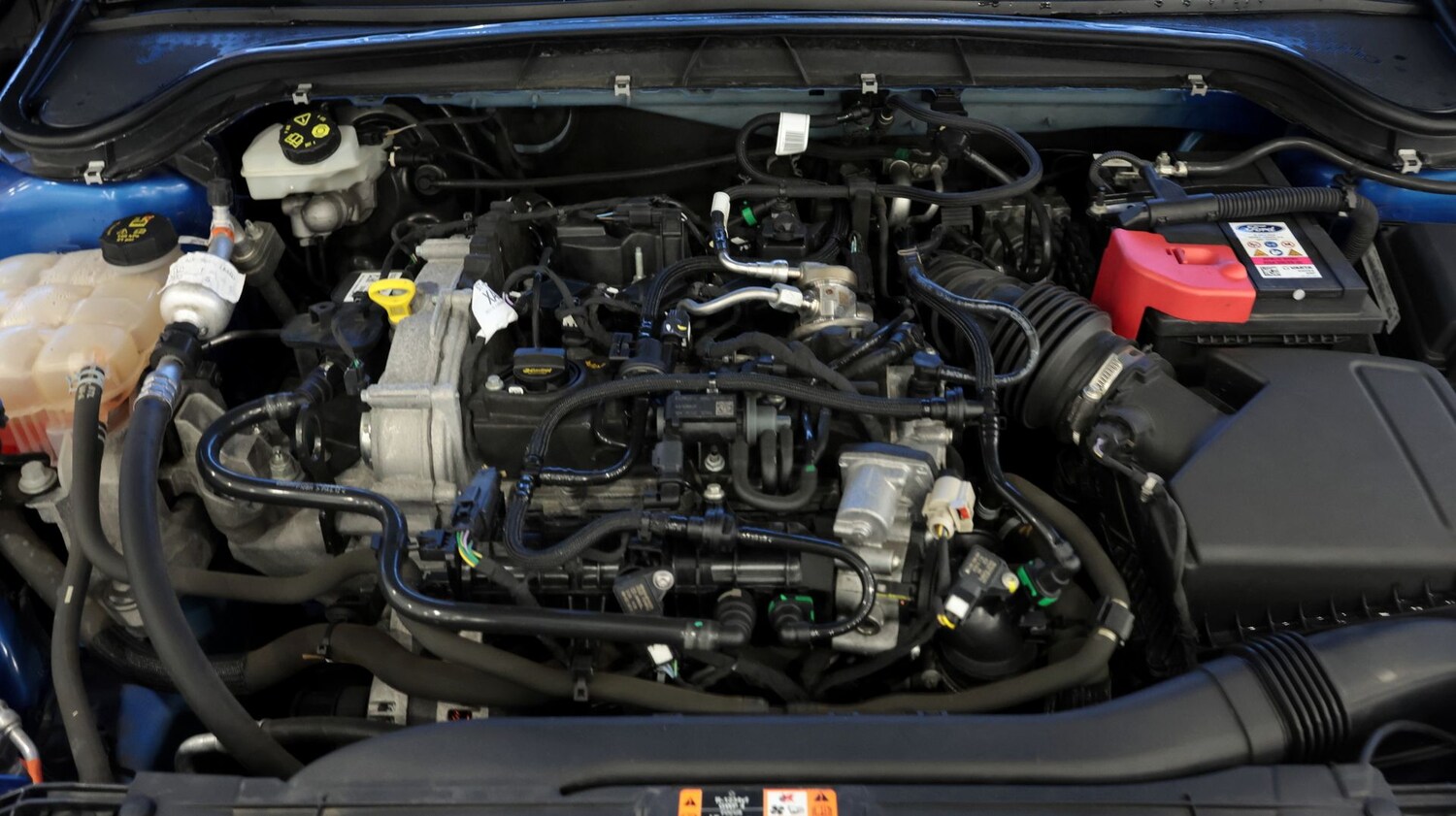 Used Ford Focus 2022 for sale - 77813003: Photo 19