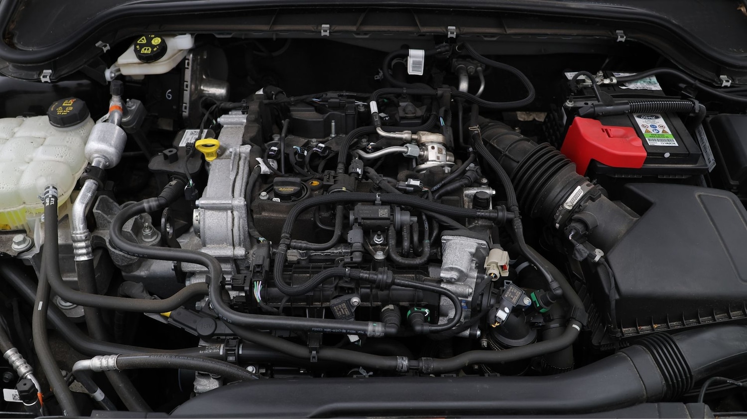 Used Ford Focus 2024 for sale - 77796853: Photo 19