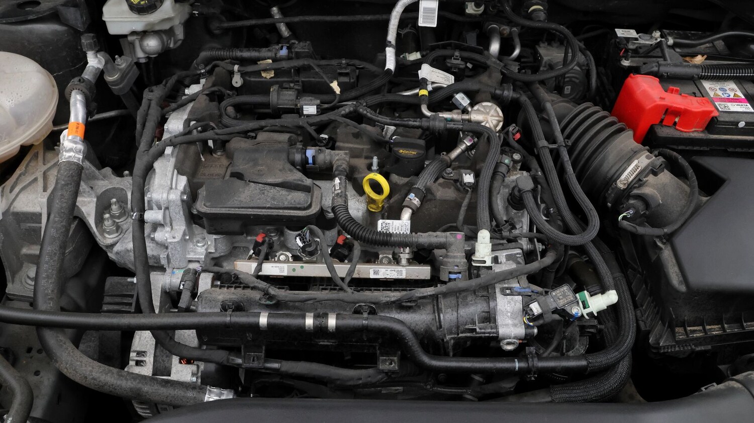 Used Ford Kuga 2023 for sale - 77649926: Photo 19