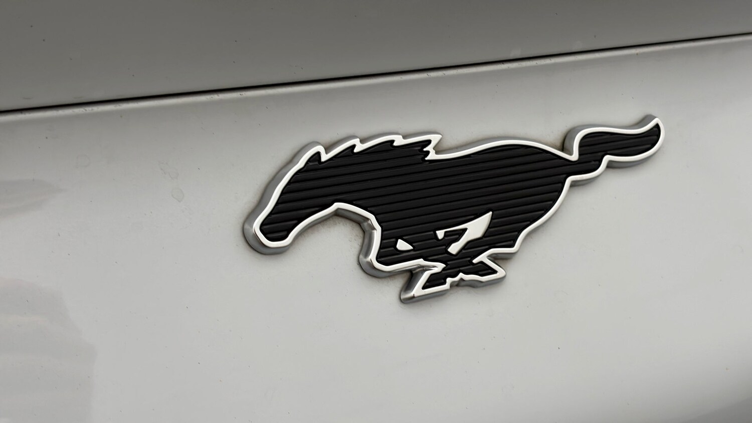 Used Ford Mustang Mach-E 2023 for sale - 77729219: Photo 19