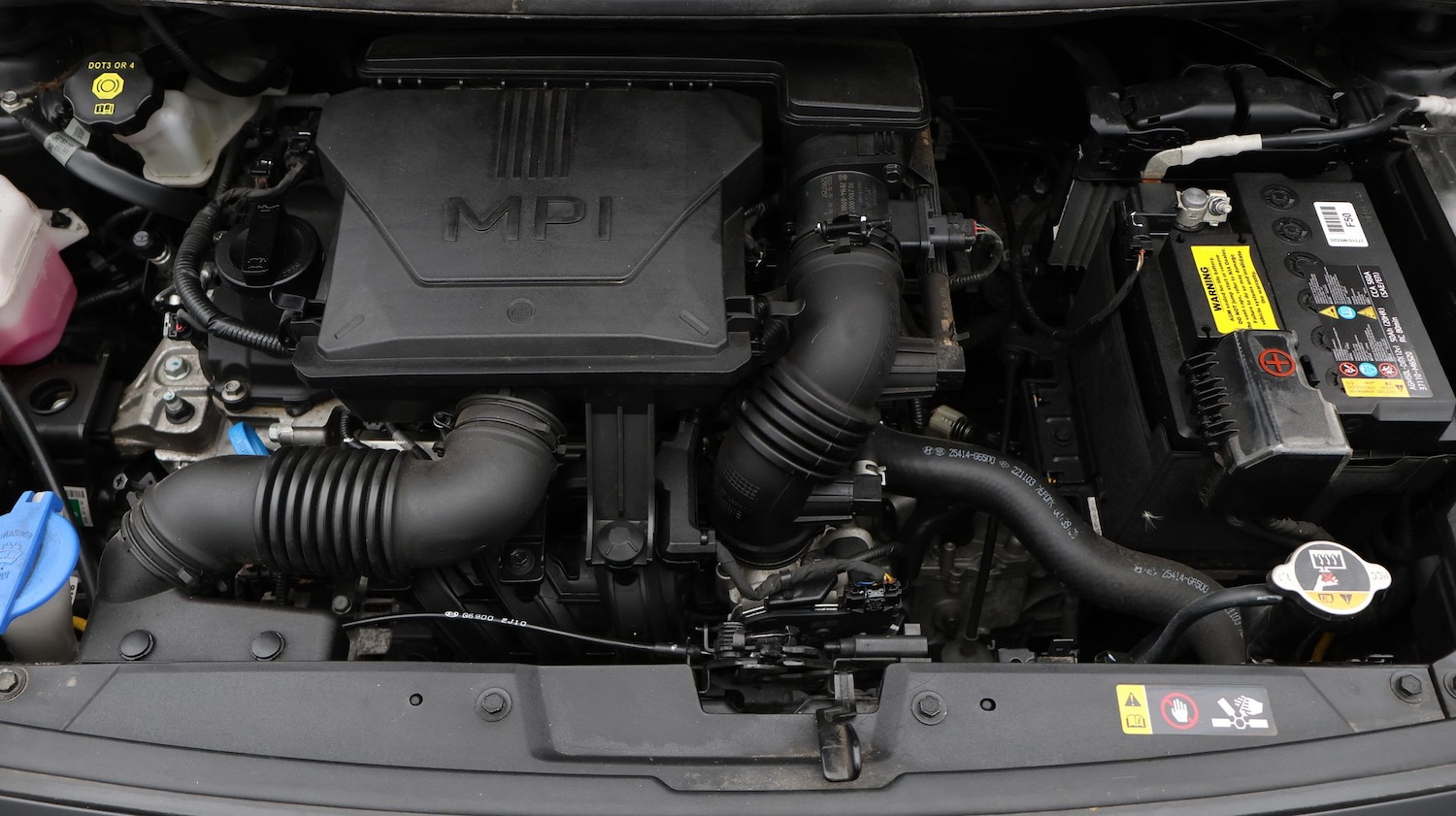 Used Kia Picanto 2023 for sale - 77618767: Photo 19