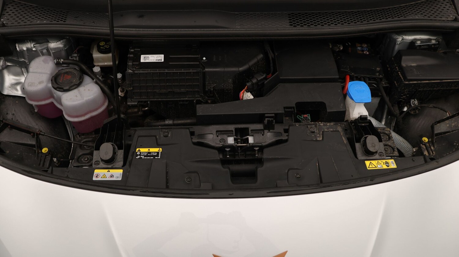 Used Cupra Born for sale - 77196588: Photo 19