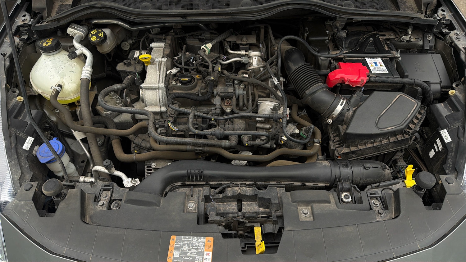 Used Ford Fiesta 2022 for sale - 77833978: Photo 18