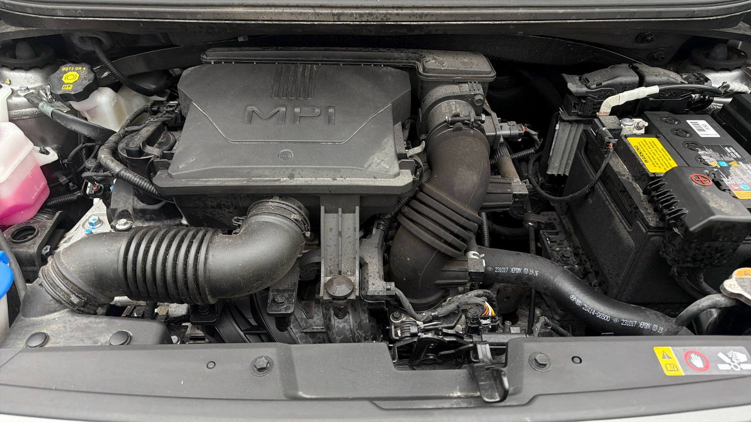 Used Kia Picanto 2024 for sale - 77834274: Photo 18