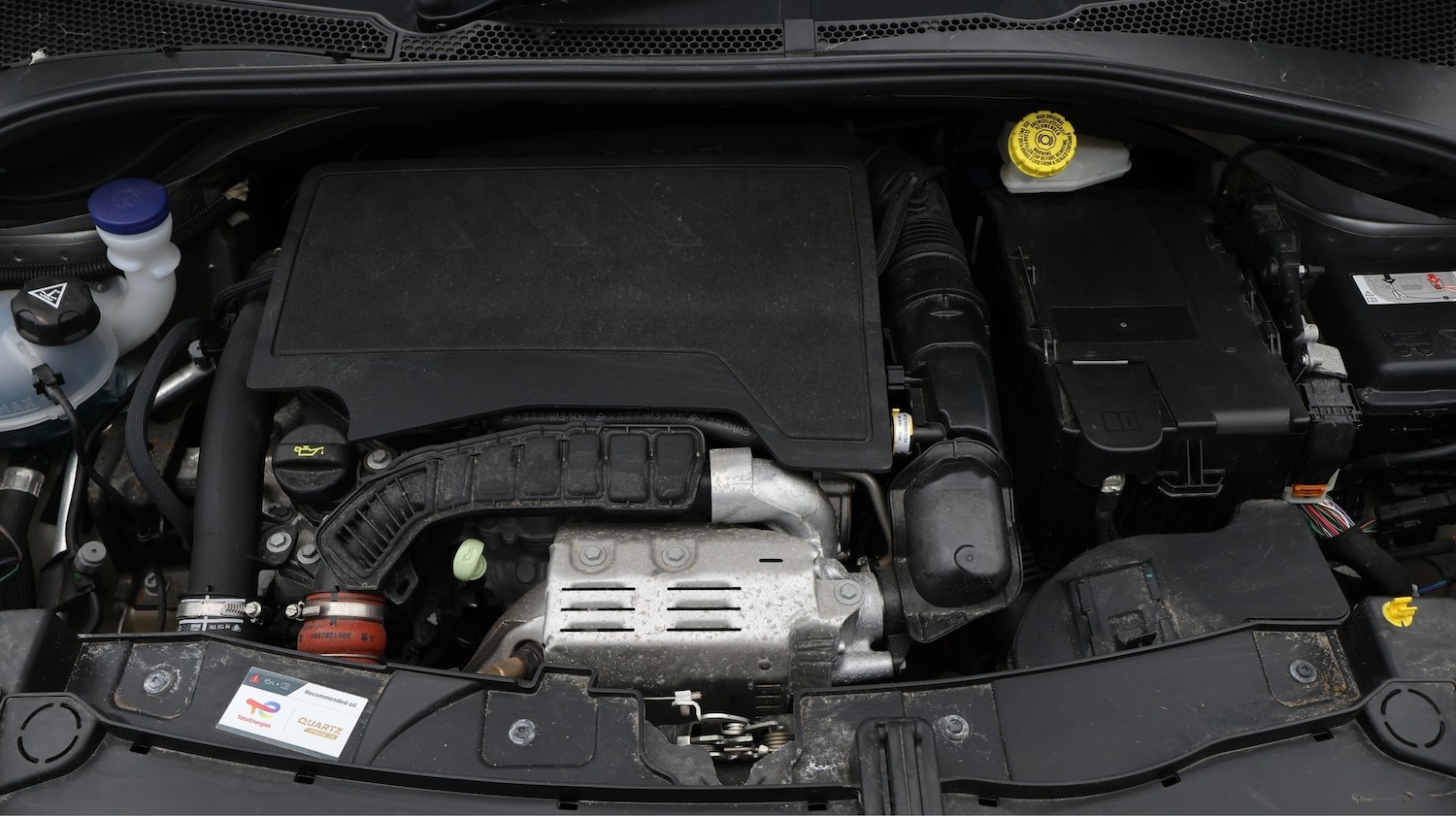 Used Citroen C3 2023 for sale - 77774948: Photo 19