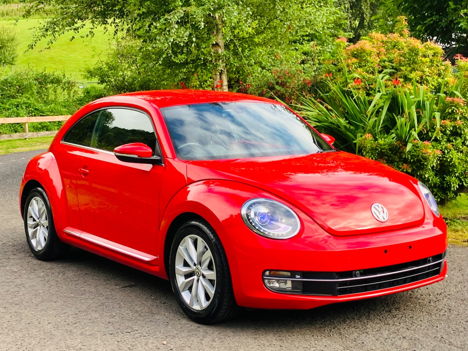 Used Volkswagen Beetle 2025 for sale - 76709659: Photo 2