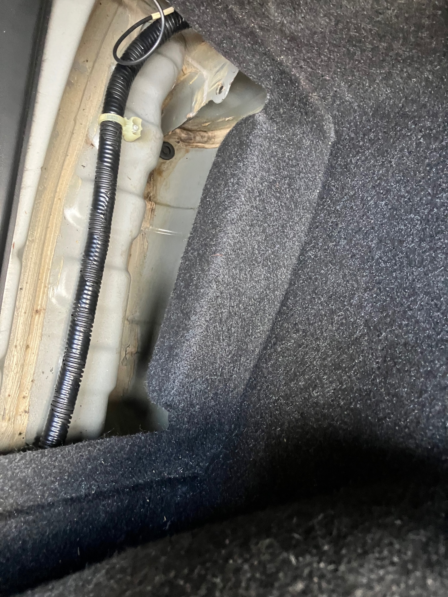 Used Toyota Altezza 2018 for sale - 77235642: Photo 16