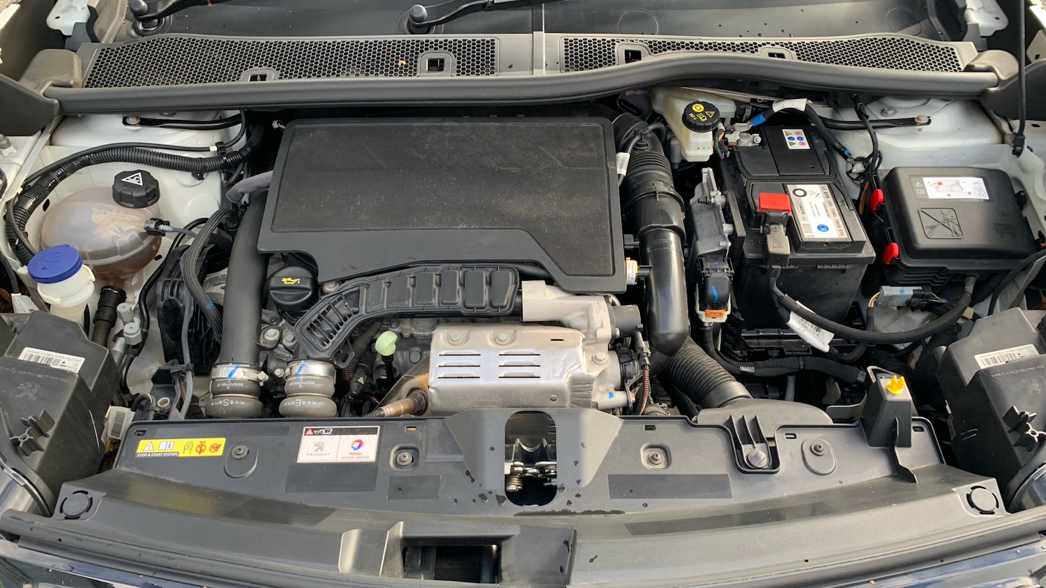 Used Peugeot 2008 2021 for sale - 76400002: Photo 18