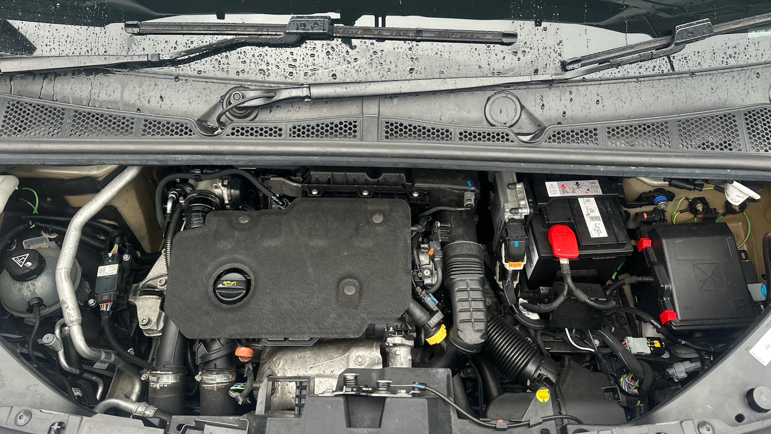 Used Peugeot Rifter 2020 for sale - 75859166: Photo 18