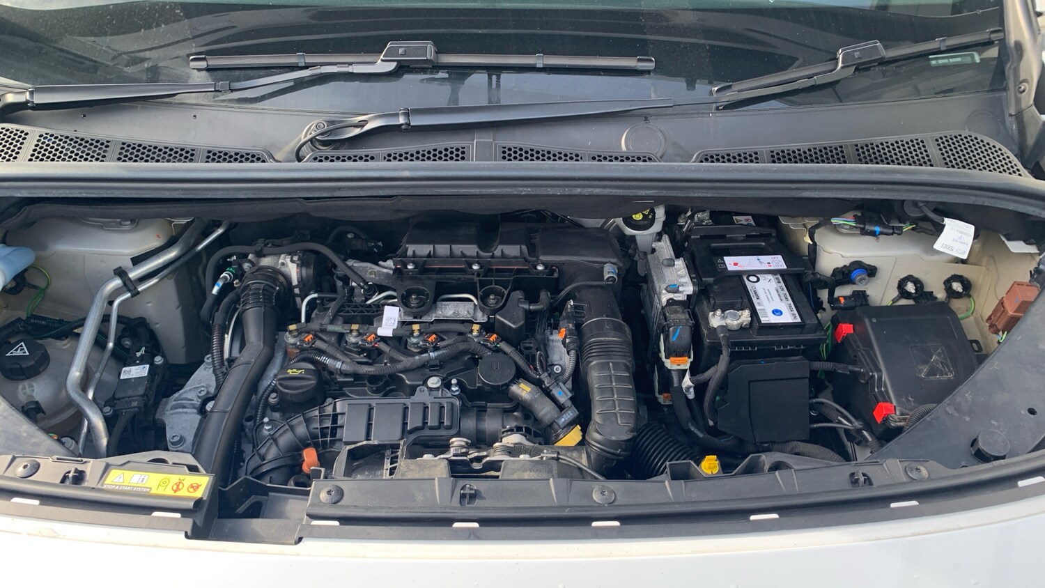 Used Citroen Berlingo 2024 for sale - 77840629: Photo 18