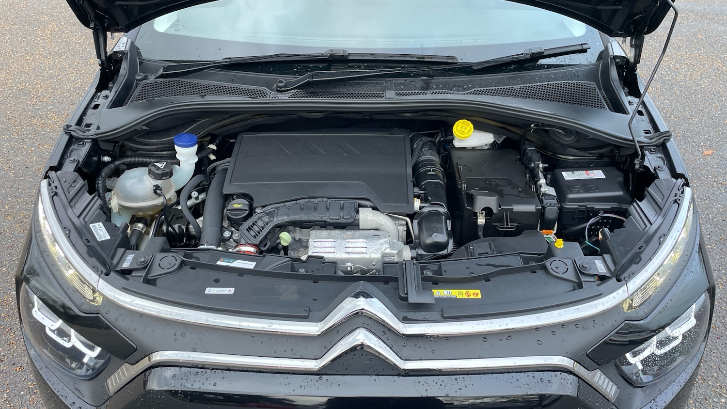 Used Citroen C3 2024 for sale - 77268700: Photo 19