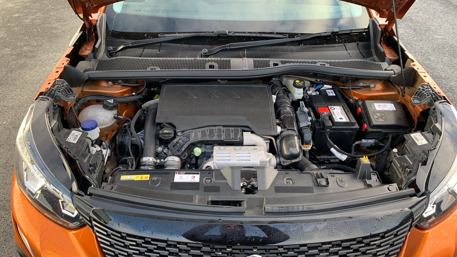 Used Peugeot 2008 2022 for sale - 76977301: Photo 19