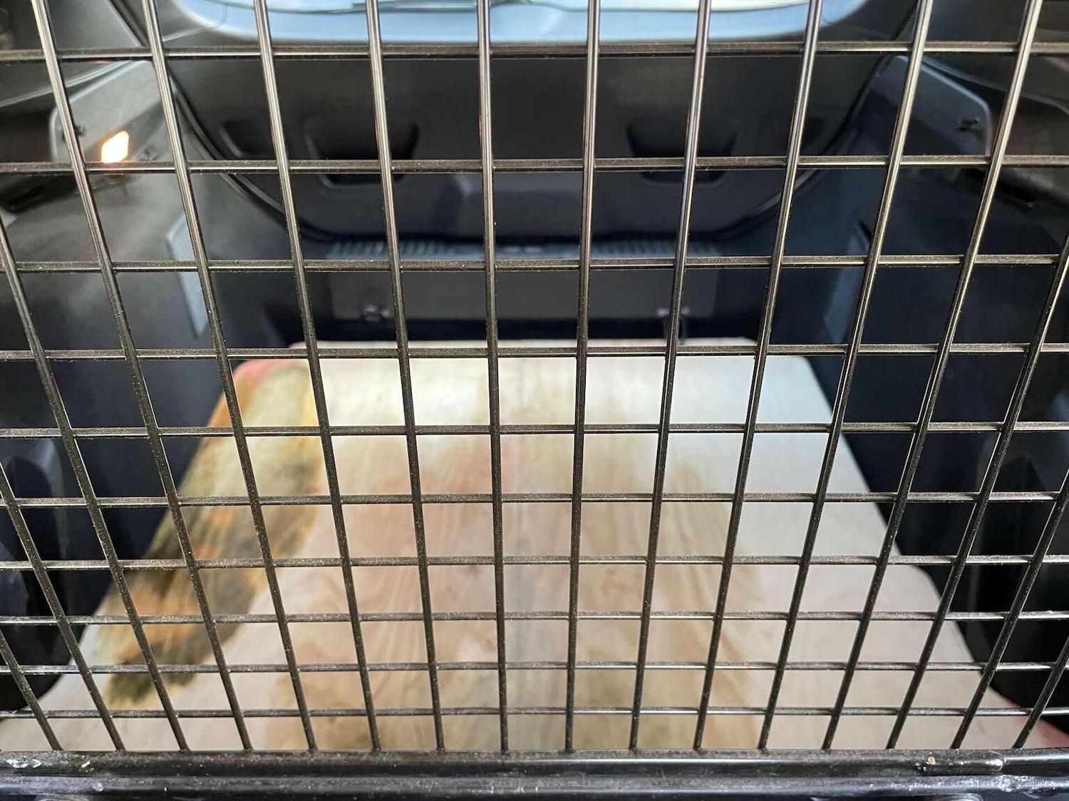 Used Ford Fiesta Van 2021 for sale - 76571161: Photo 48