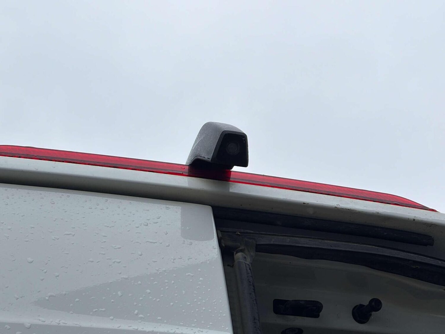 Used MAN TGE 2019 for sale - 77880939: Photo 20