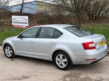 Used Skoda Octavia 2019 for sale - 77791217: Photo