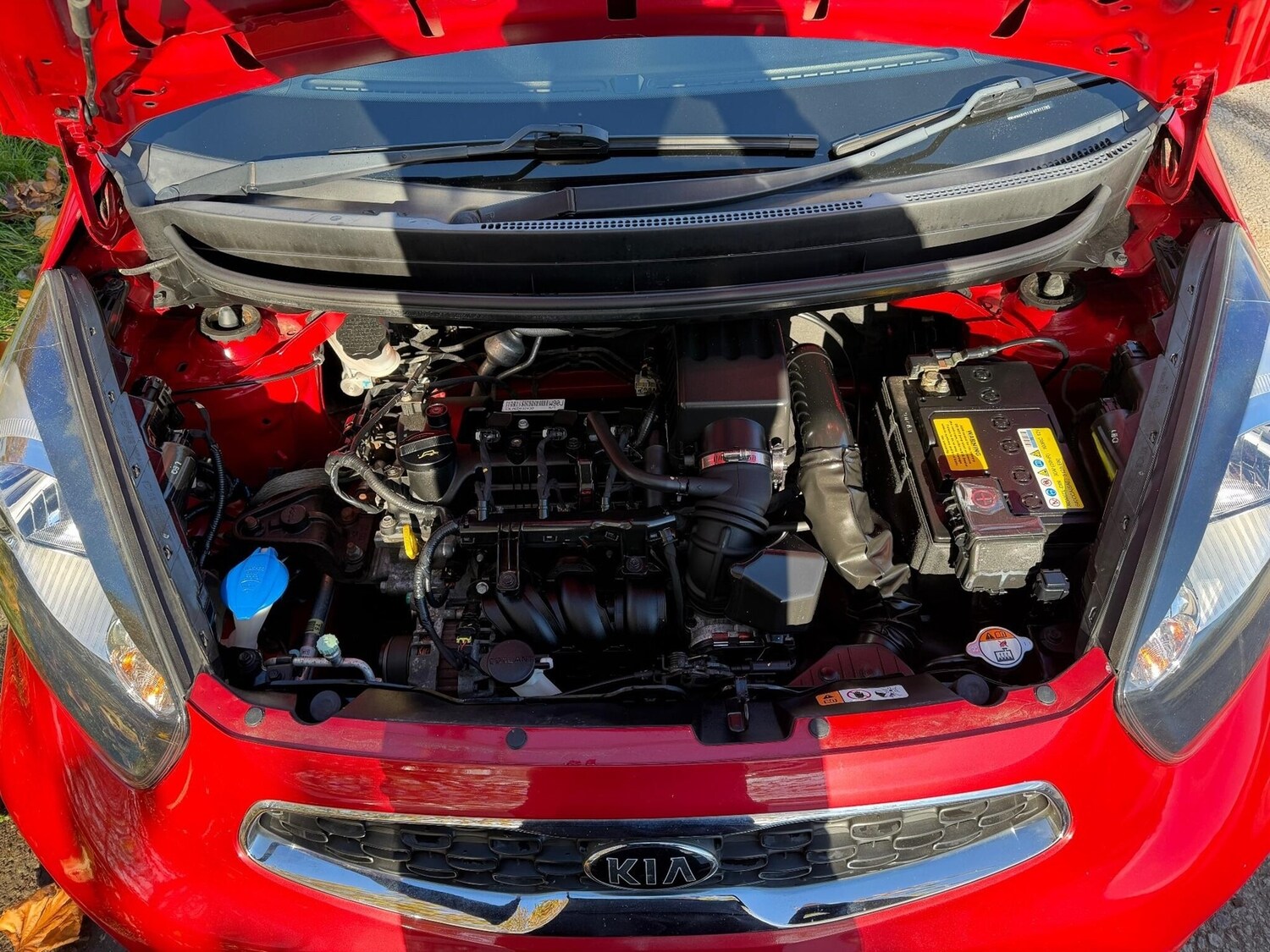 Used Kia Picanto 2016 for sale - 76402881: Photo 19