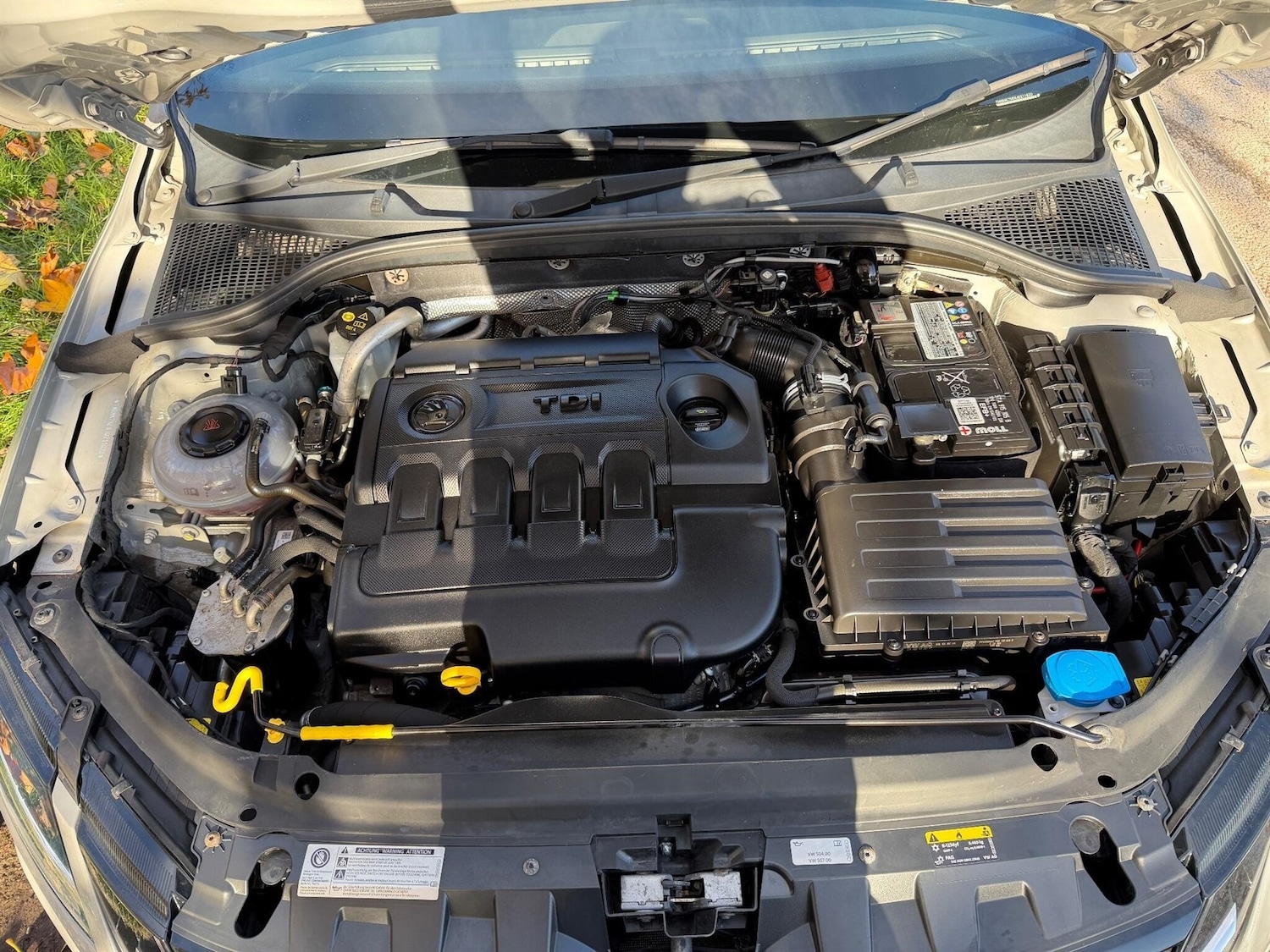 Used Skoda Octavia 2017 for sale - 76402932: Photo 31