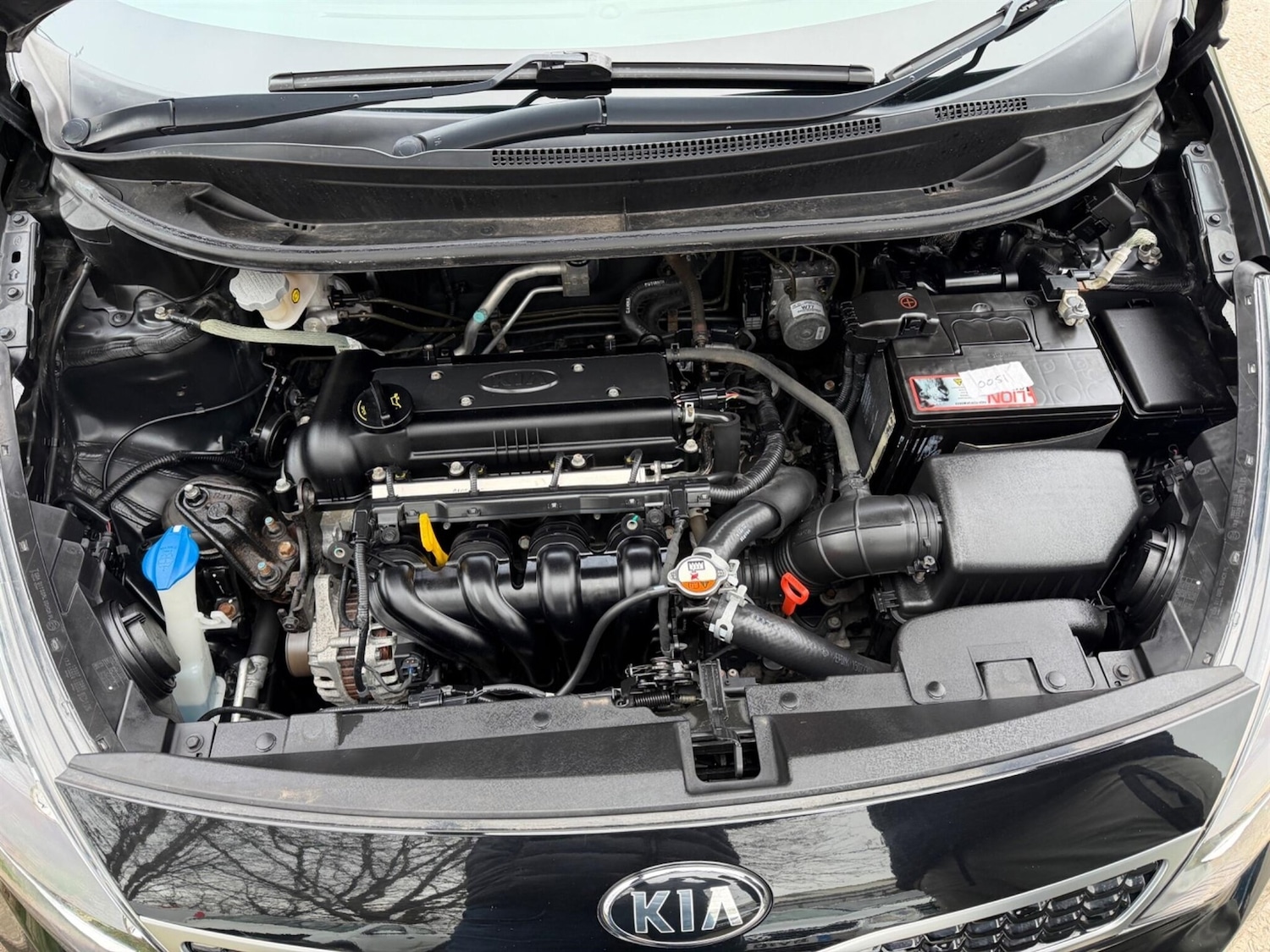 Used Kia Rio 2016 for sale - 77745129: Photo 21