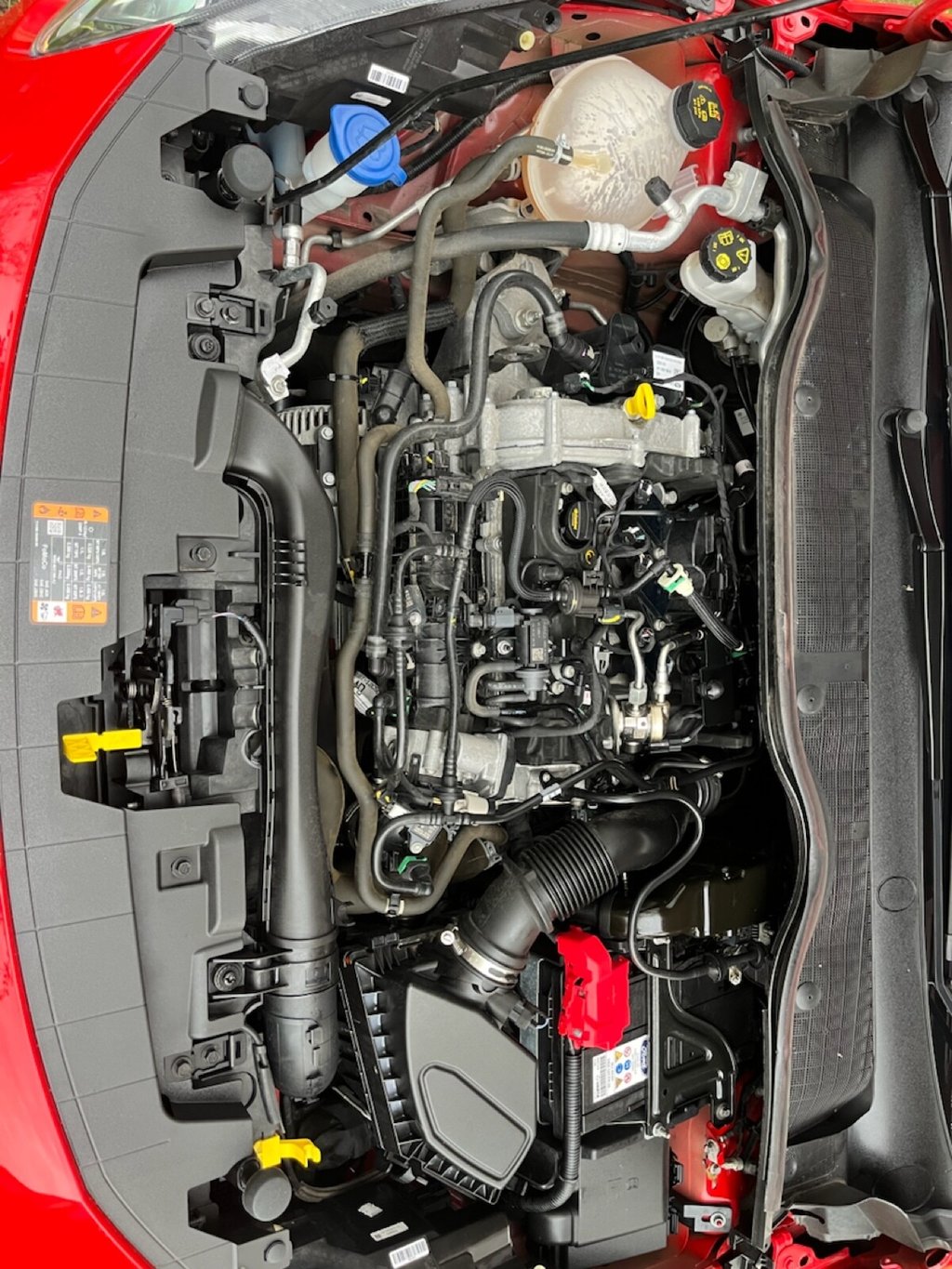 Used Ford Fiesta 2023 for sale - 76900342: Photo 21