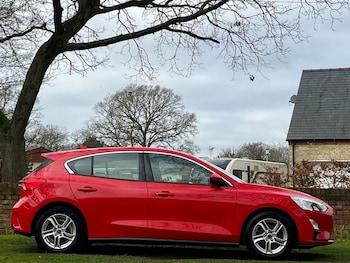 Used Ford Focus 2019 for sale - 77720270: Photo