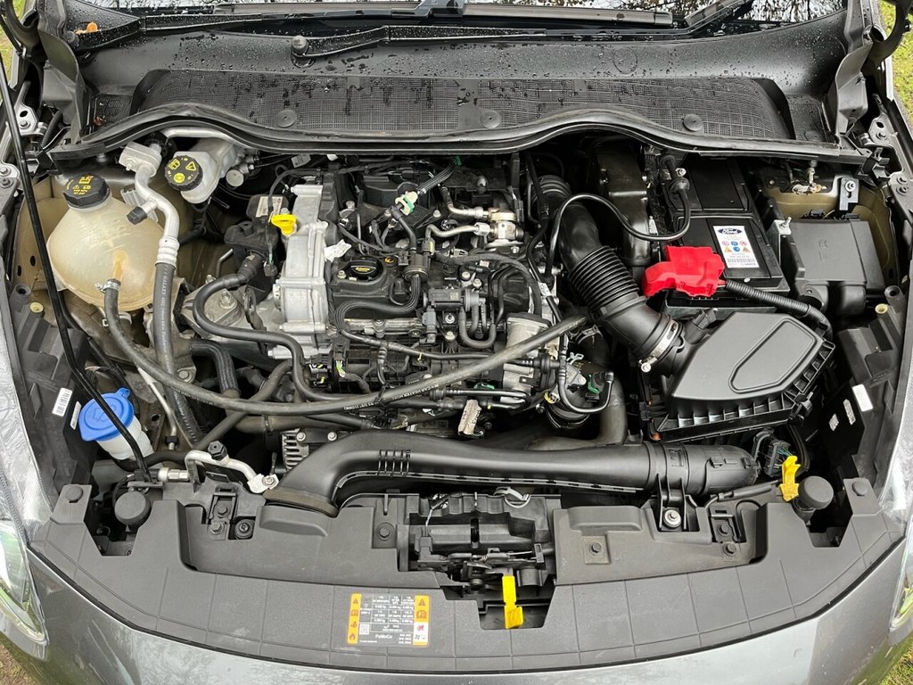 Used Ford Fiesta 2023 for sale - 76900291: Photo 22