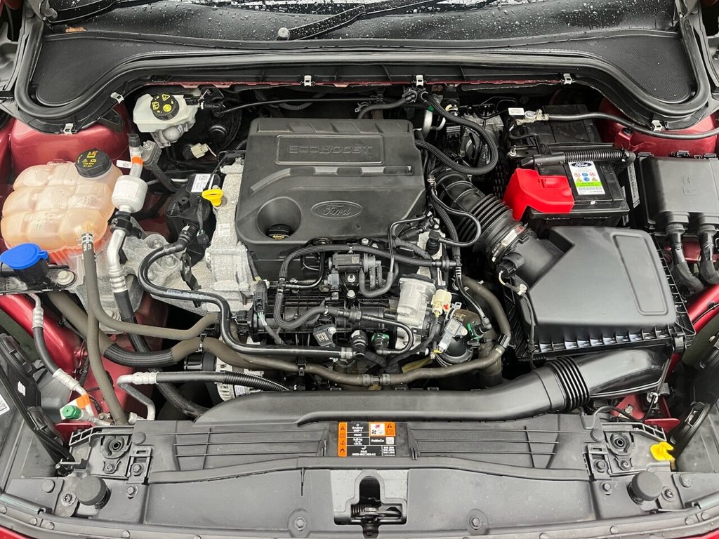 Used Ford Focus 2019 for sale - 77236603: Photo 24