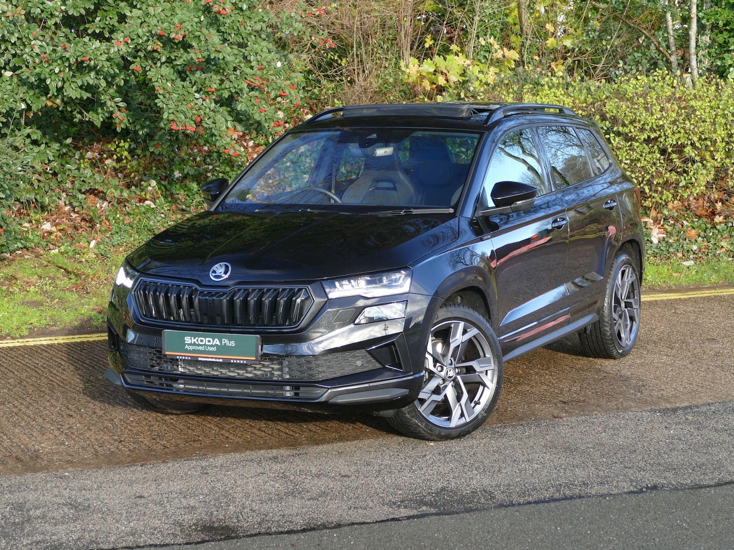 Used Skoda Karoq 2025 for sale - 76689456: Photo 18