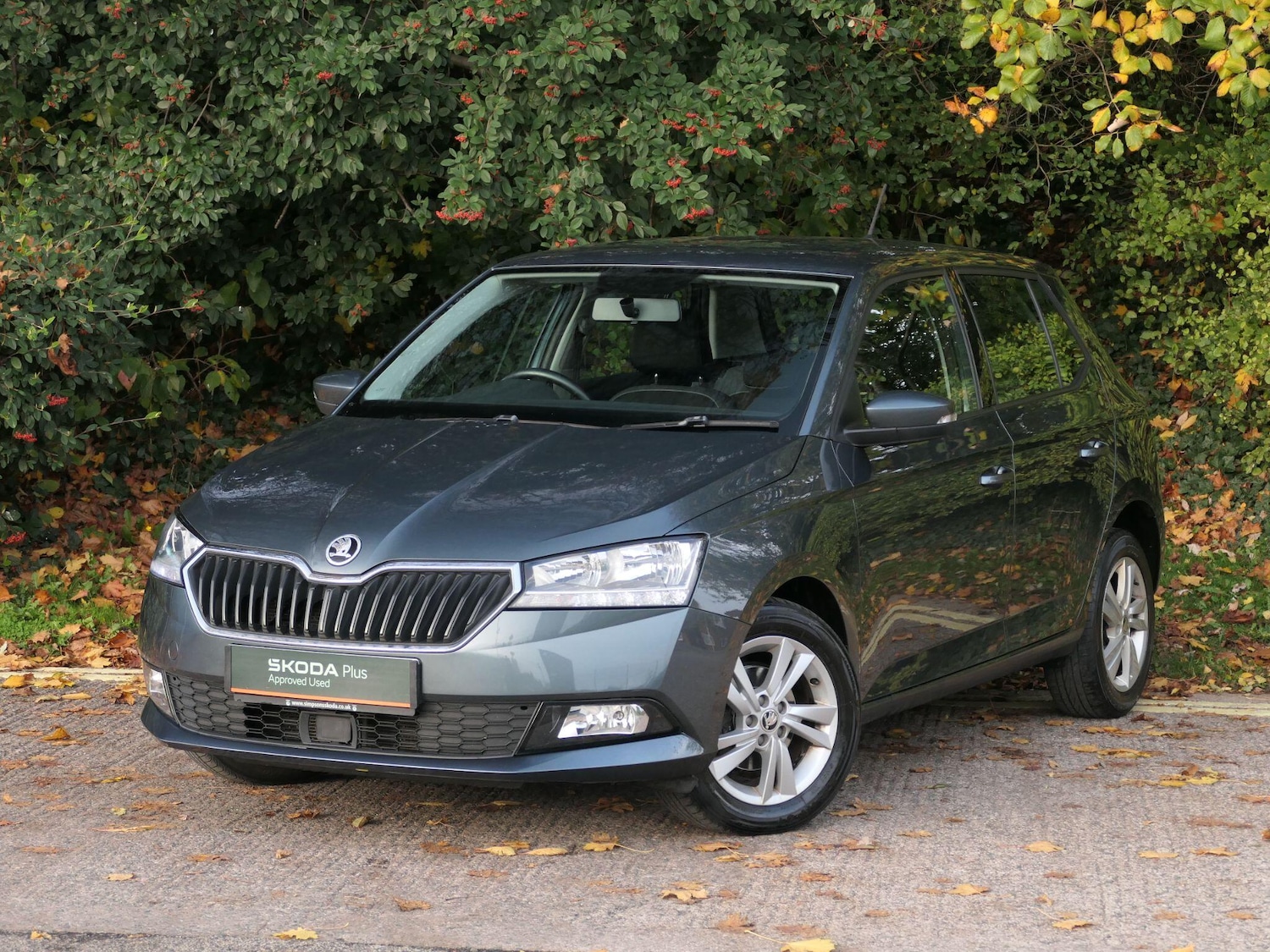 Used Skoda Fabia 2018 for sale - 76371248: Photo 19