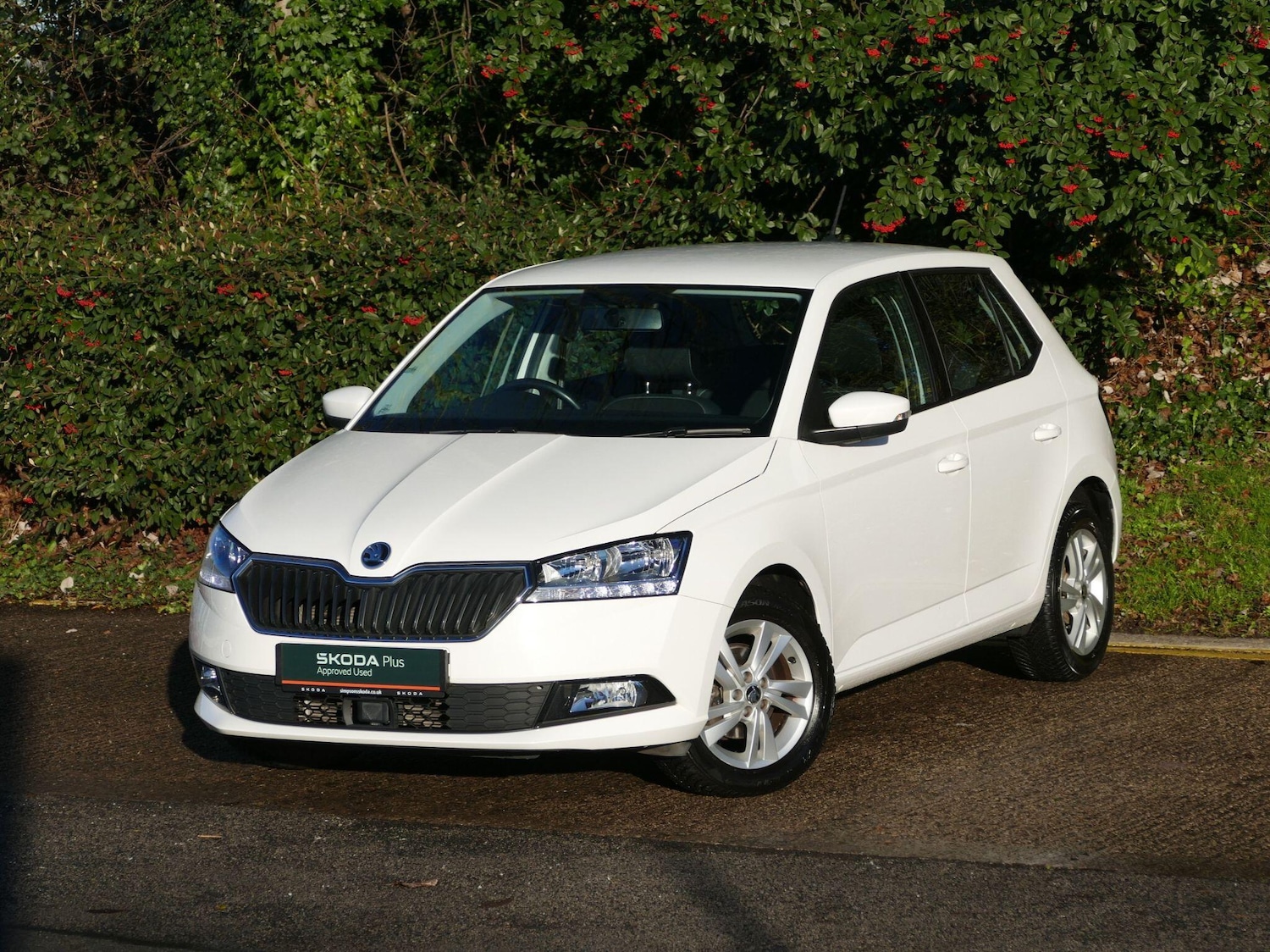 Used Skoda Fabia 2018 for sale - 76701576: Photo 19