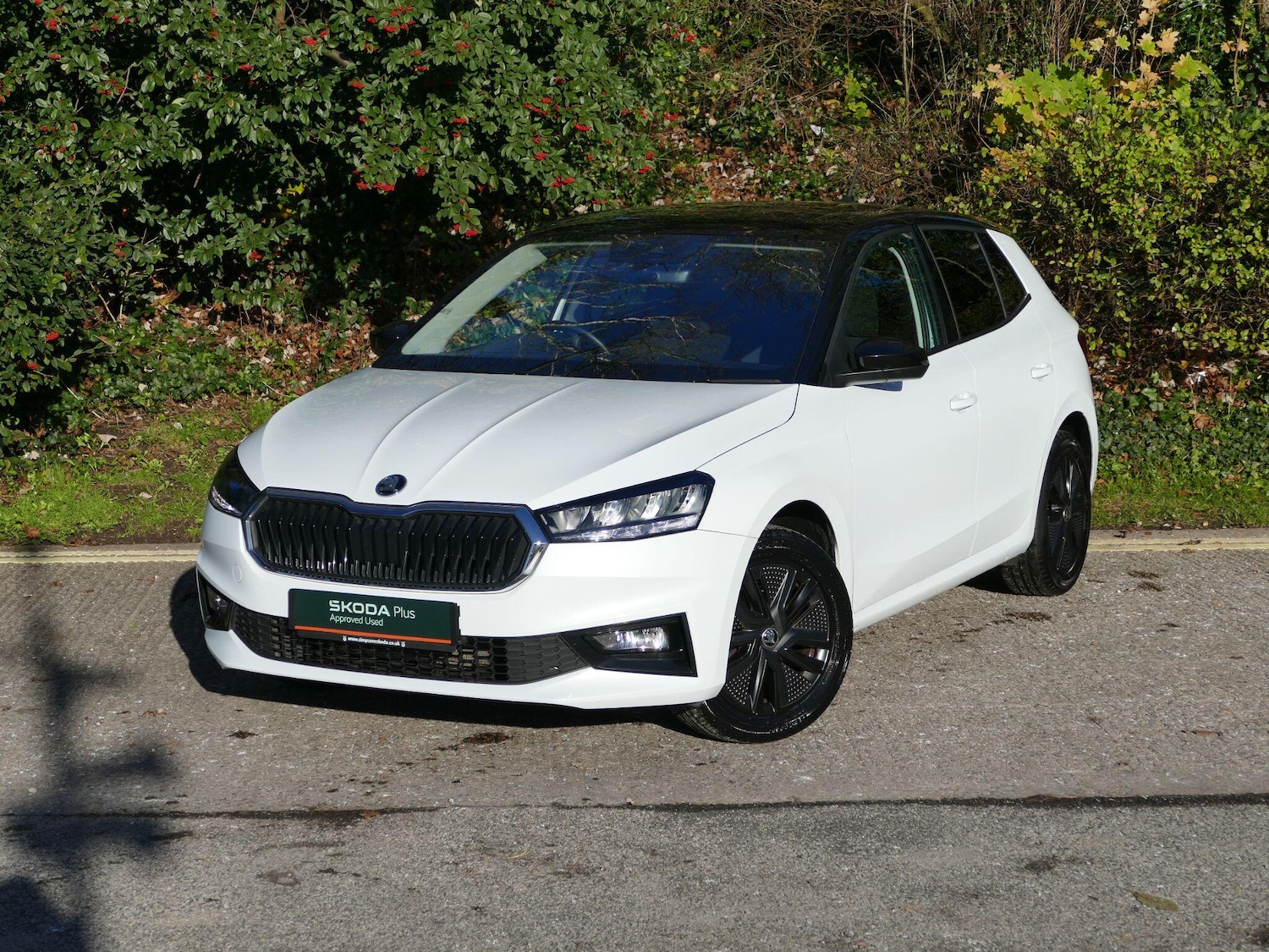 Used Skoda Fabia 2023 for sale - 76645664: Photo 18