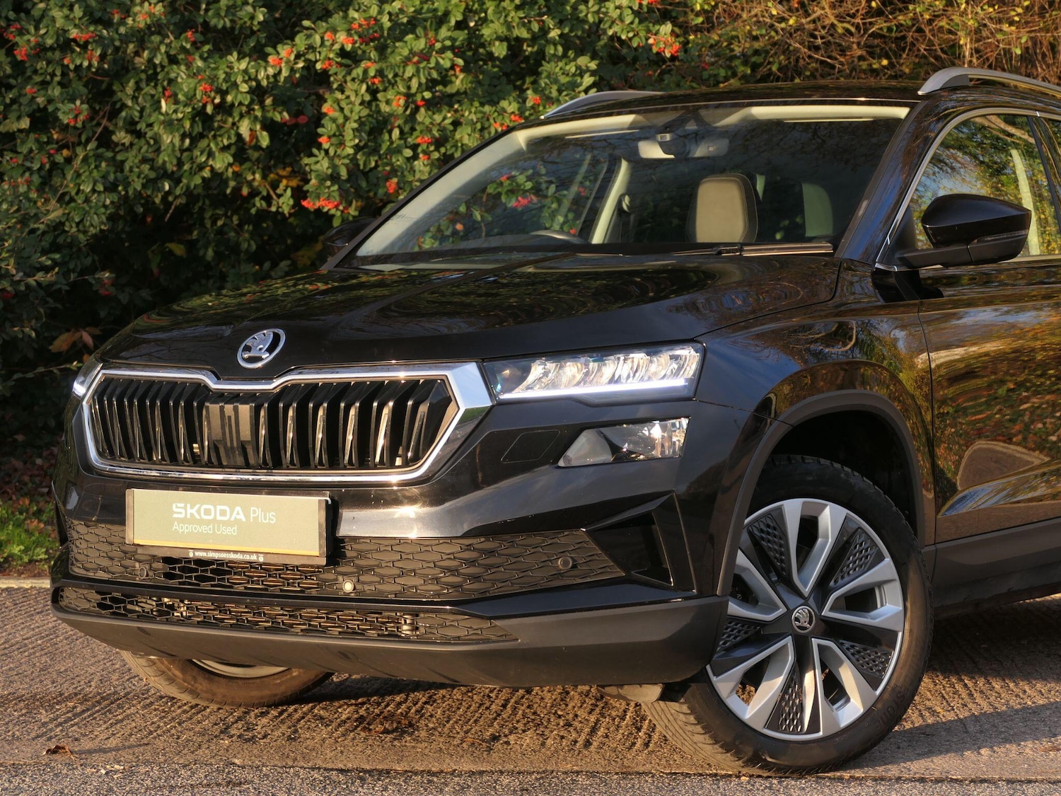 Used Skoda Karoq 2023 for sale - 76538357: Photo 16