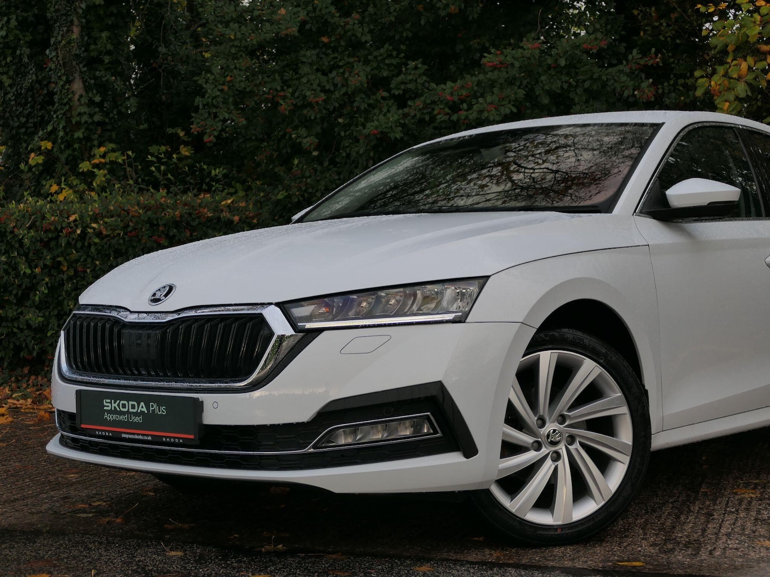 Used Skoda Octavia 2022 for sale - 76388534: Photo 16