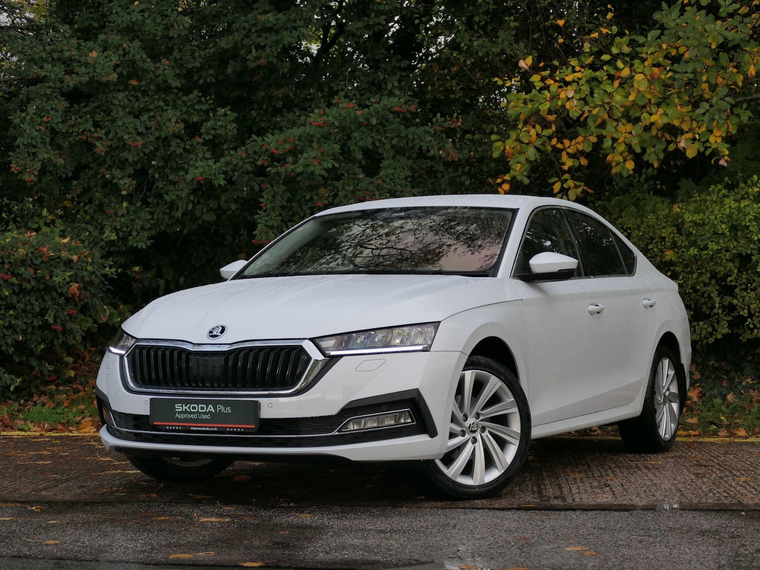 Used Skoda Octavia 2022 for sale - 76388534: Photo 20