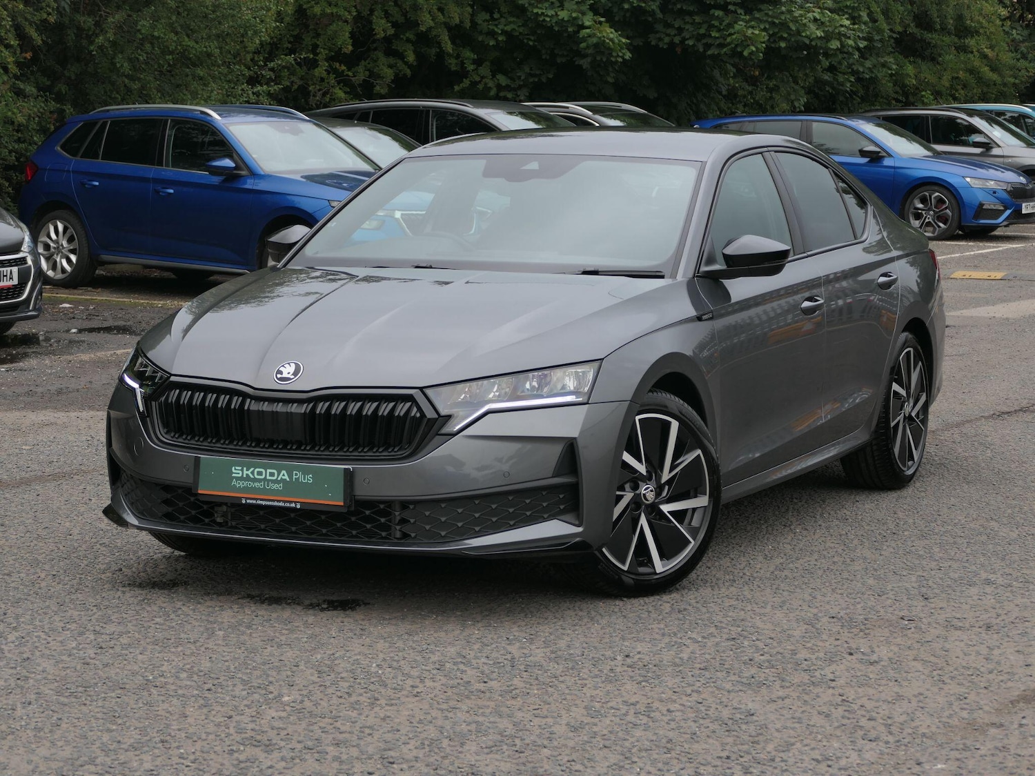 Used Skoda Octavia for sale - 77266905: Photo 11