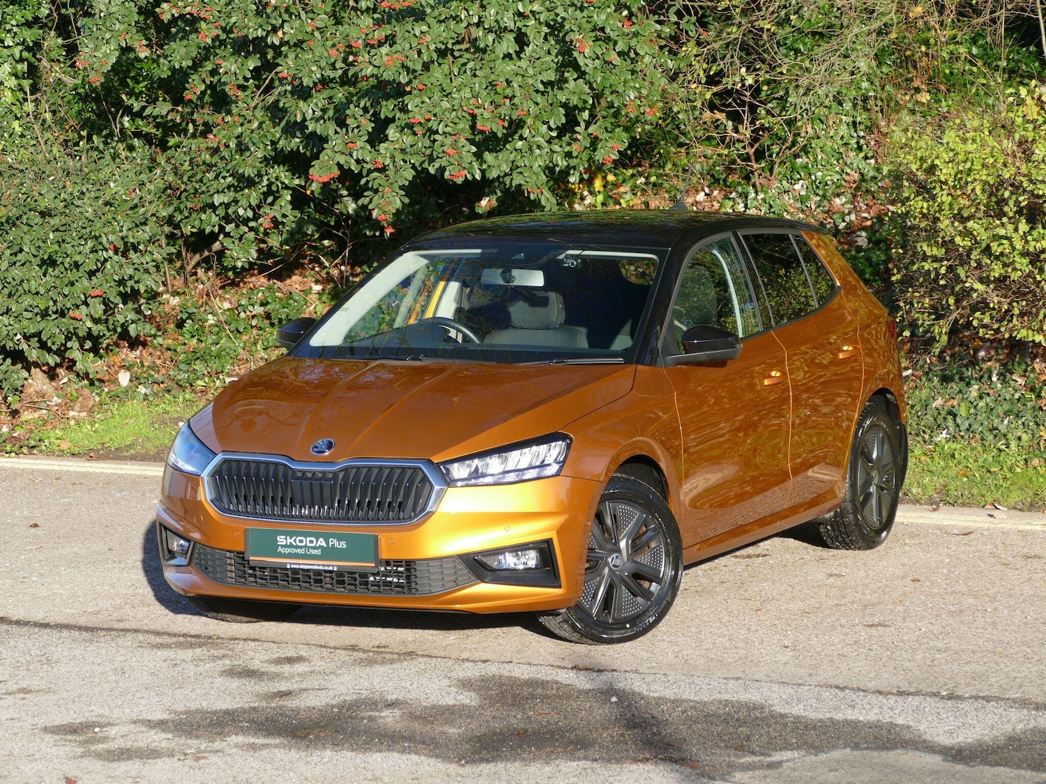 Used Skoda Fabia 2022 for sale - 76645087: Photo 15