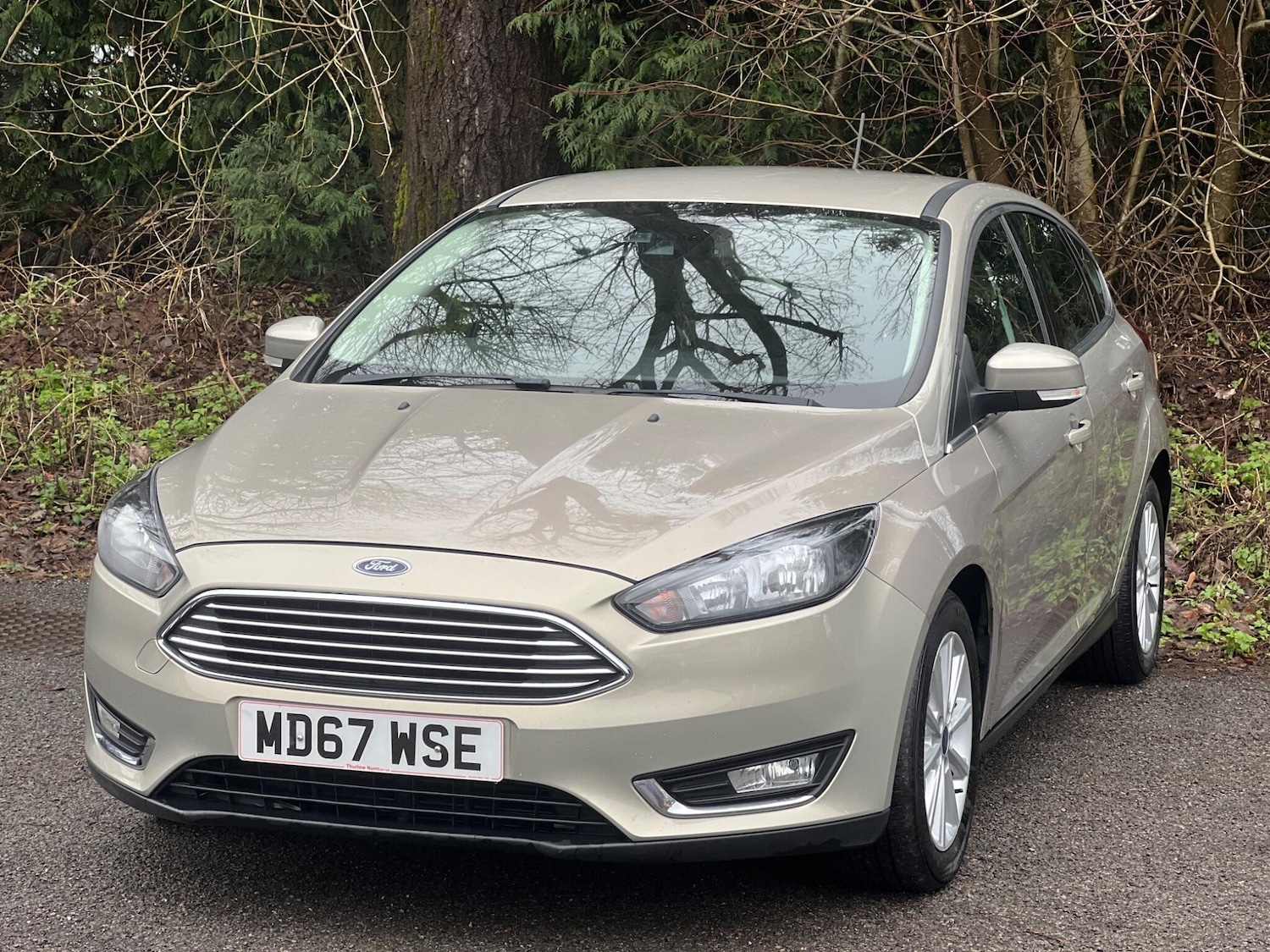 Used Ford Focus 2018 for sale - 77633587: Photo 12